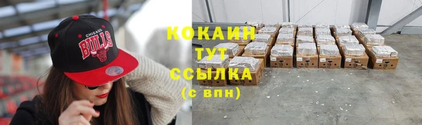 СК Вязьма