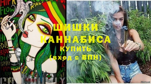 СК Вязьма