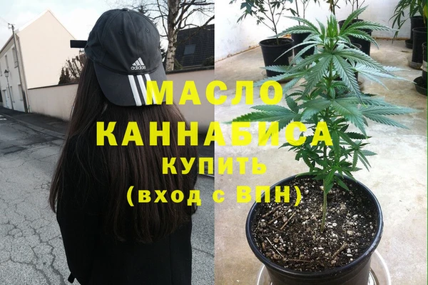 СК Вязьма